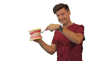 Dentist Stalowawola Sticker by Crazy Pig