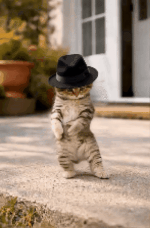 Michael Jackson Cat Dance GIF