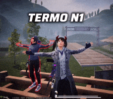 Termo GIF