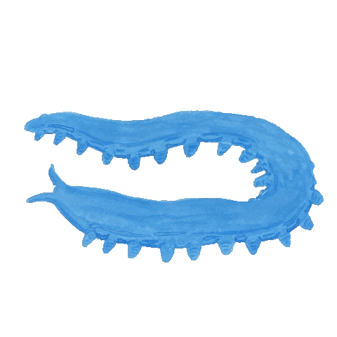 Worm Sticker