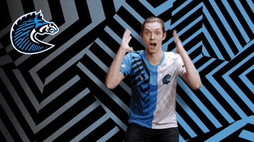 Zebras Yes GIF by BS+COMPETITION
