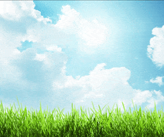 Praise GIF