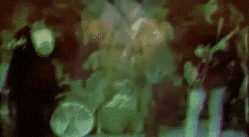 13Th Floor Elevators GIF