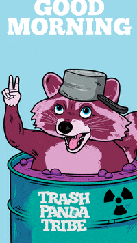Rocket City Trash Pandas GIFs on GIPHY - Be Animated