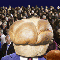 Show People GIF by Alex Boya