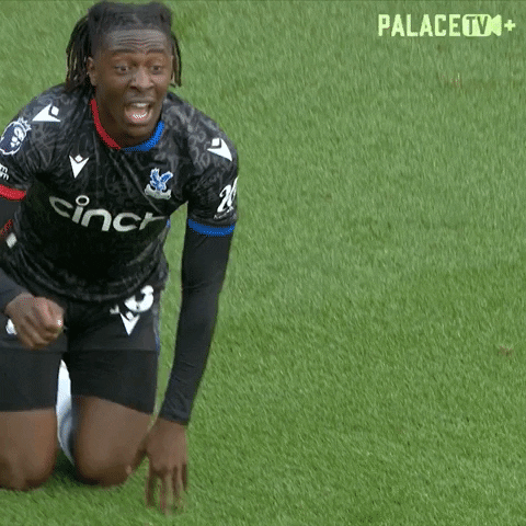 Get Up What GIF by Crystal Palace Football Club