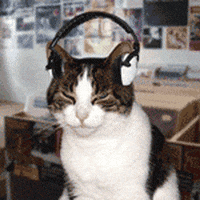 Cat Headphones GIF