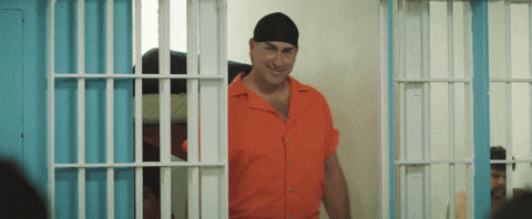 Image result for jail gif