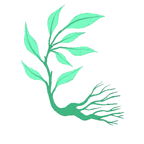 Plant Sticker