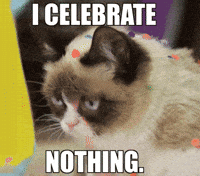 Funny Birthday Gifs Get The Best Gif On Giphy