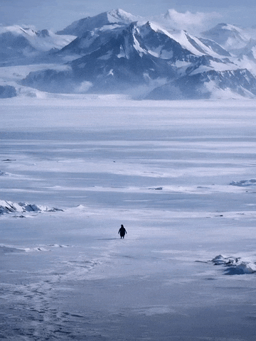 Penguin Mountain GIF