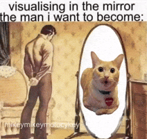 Man In The Mirror GIF