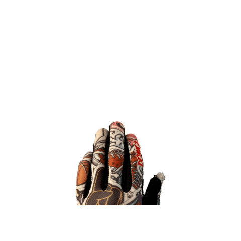 Donkz Racing Sticker