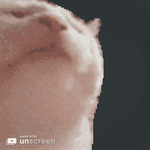 Cat Dancing GIF by Unscreen