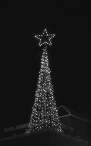 christmas tree GIF