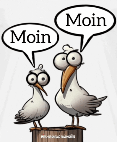 Moin GIF