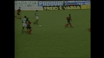 ituano evair GIF by SE Palmeiras