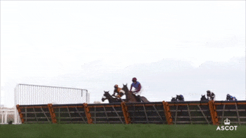 Slow Motion Jump GIF by Ascot Racecourse