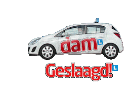 Rijles Autorijschool Sticker by Rijschool Dam