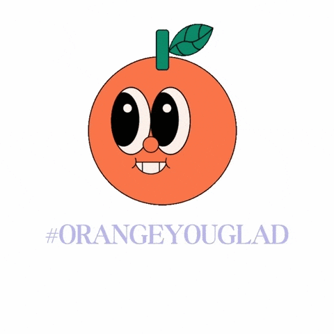 GIF by Noy Media Group