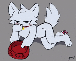 Cat GIF