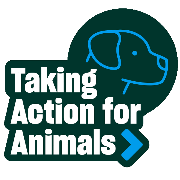 Tafa Sticker by Humane World for Animals