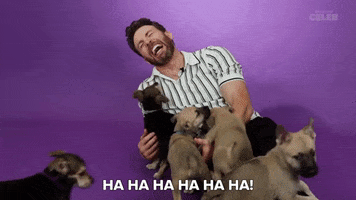Chris Evans Laughing GIF by BuzzFeed