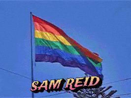 Gay Flag GIF