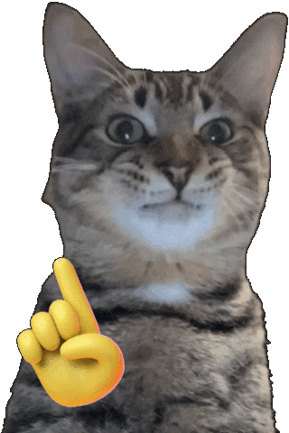 Cat Sticker