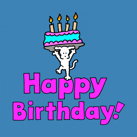 Happy Birthday GIF by Chippy the Dog