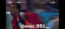 La Furia Argentina GIF
