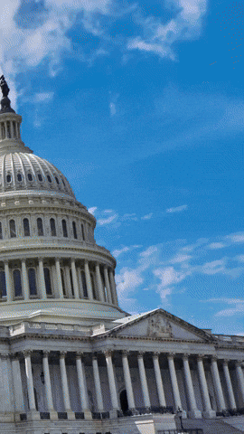 GIF by RE/MAX
