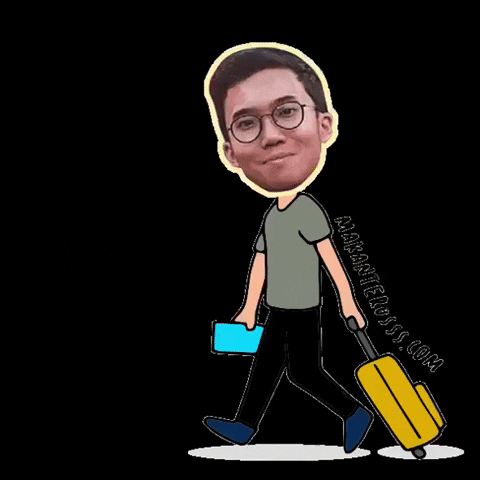 Travel GIF