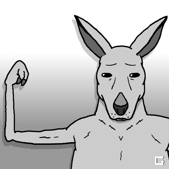 kangaroos GIF by Animation Domination High-Def