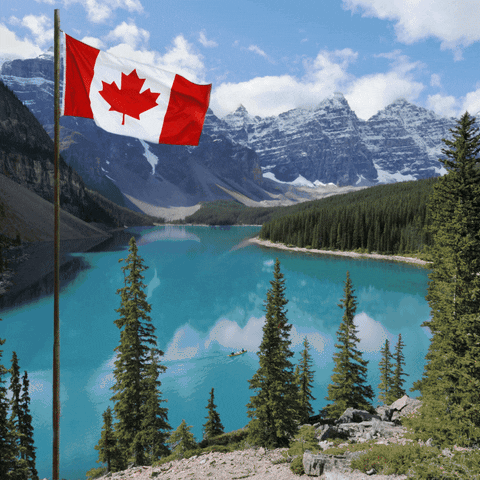 Essential Guide For Canada E Visa Requirements GIF