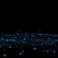 Identity GIF
