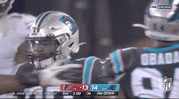 Carolina Panthers Football GIF by NFL