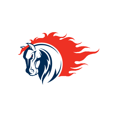 Nojima Sagamihara Rise ノジマ相模原ライズ Sticker