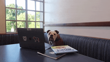 Happy Back To School GIF by Butler University