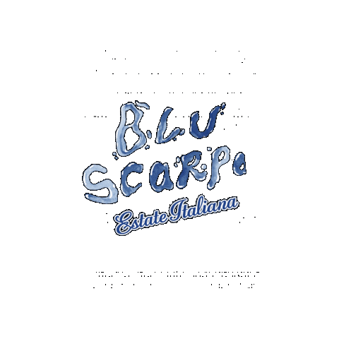 Bluscarpaestateitaliana Sticker by Blu Scarpa
