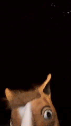 Dance Party GIF by Motiongarten