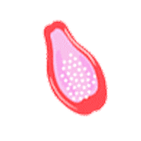 Sticker by Spiritú