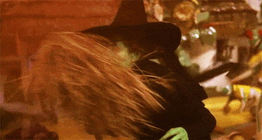 ill get you my pretty the wizard of oz GIF
