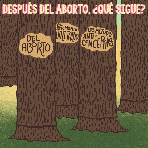 After abortion, what's next? Spanish text