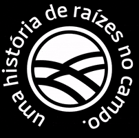 stúdio vi.va.si GIF