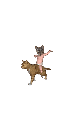 Funnycat Sticker