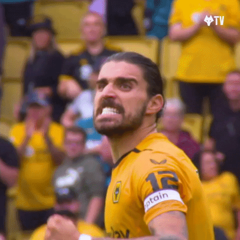 Celebrating Come On GIF by Wolves