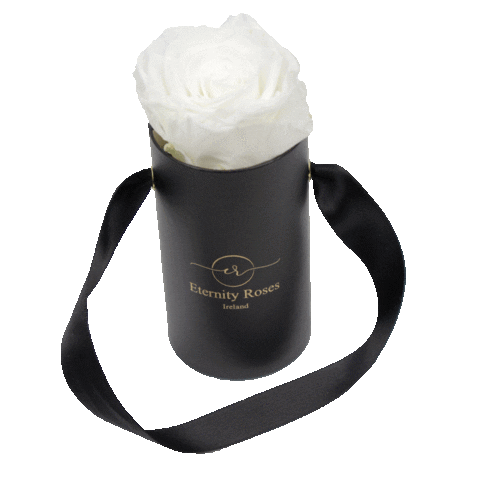 Eternity Roses Sticker