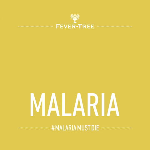 Fever-Tree Mixers GIF