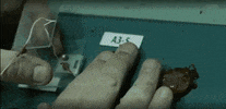 Accident GIF
